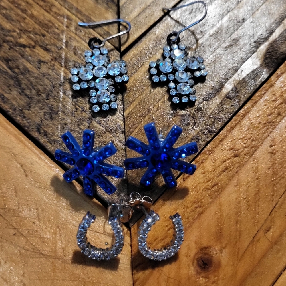 Blue and Silver Earring Set